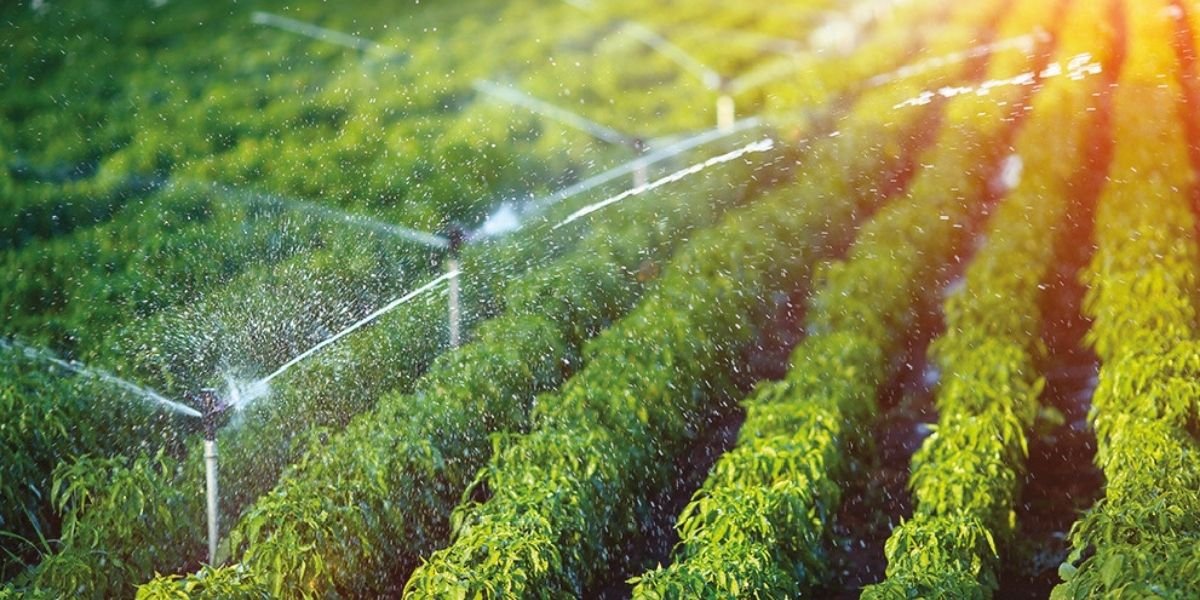 Aménagement hydro-agricole — ECI Environnement